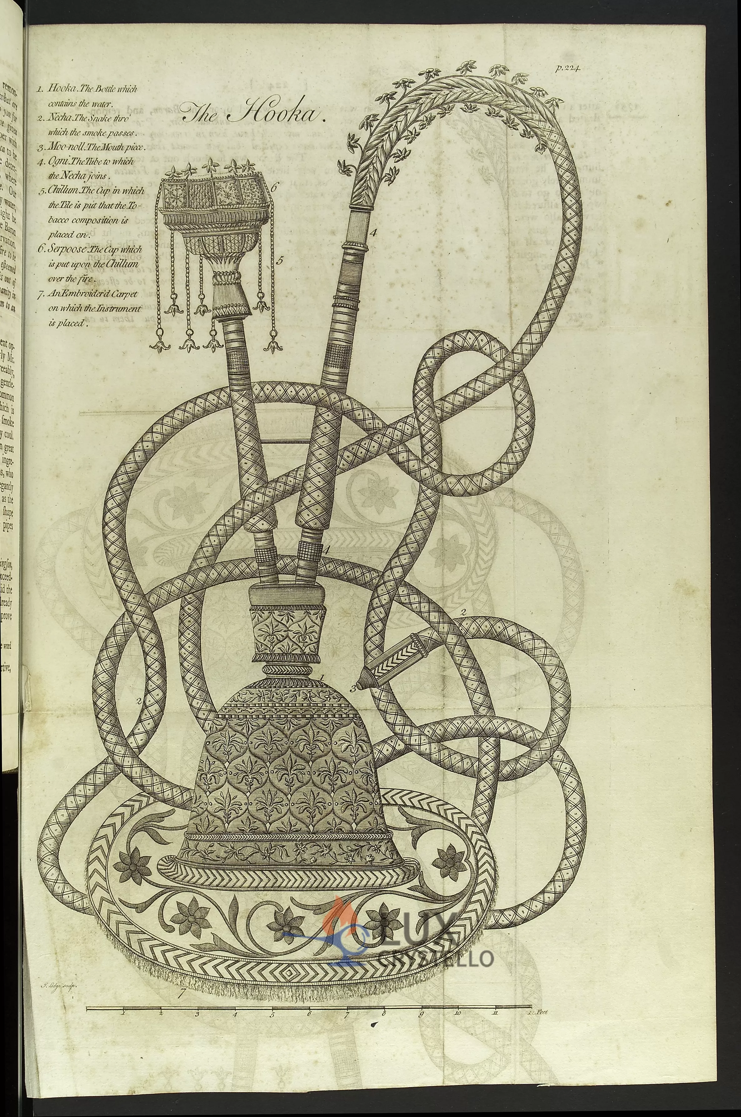 Hookah, tobacco pipe smoked in Bengal